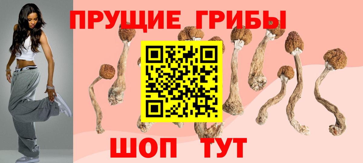 Воронеж  Псилоцибиновые грибы GOLDEN TEACHER  Вход с VPN 